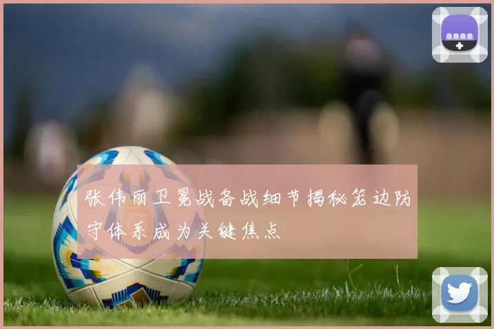张伟丽卫冕战备战细节揭秘笼边防守体系成为关键焦点